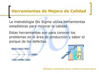 Herramientas de Mejora de Calidad La metodología Six Sigma utiliza herramientas estadísticas para mejorar la calidad. Estas herramientas son para conocer los problemas en el área de producción y saber el porque de los defectos.  Bibliografía: Claudio Muñoz Garrote - Gestión de la Empresa Agraria 