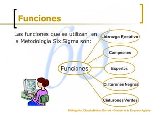 Funciones Las funciones que se utilizan  en la Metodología Six Sigma son:  Bibliografía: Claudio Muñoz Garrote - Gestión de la Empresa Agraria Funciones Cinturones Verdes Liderazgo Ejecutivo  Campeones Expertos Cinturones Negros 