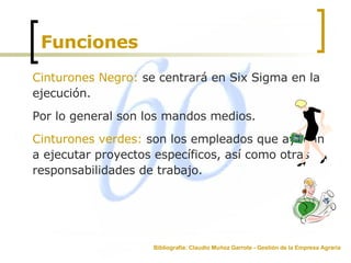 Funciones Cinturones Negro:  se centrará en Six Sigma en la ejecución.  Por lo general son los mandos medios.  Cinturones verdes:  son los empleados que ayudan a ejecutar proyectos específicos, así como otras responsabilidades de trabajo.  Bibliografía: Claudio Muñoz Garrote - Gestión de la Empresa Agraria 