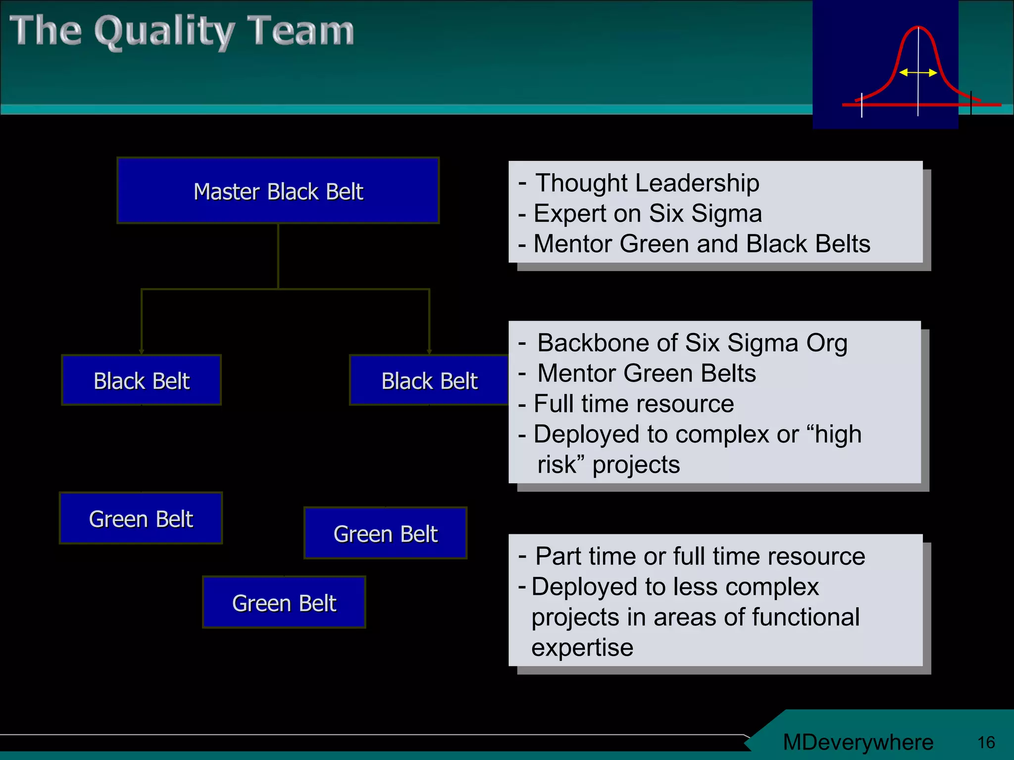 Master Black Belt Black Belt Black Belt Green Belt Green Belt Green Belt -  Thought Leadership - Expert on Six Sigma - Mentor Green and Black Belts Backbone of Six Sigma Org Mentor Green Belts - Full time resource - Deployed to complex or “high risk” projects -  Part time or full time resource Deployed to less complex projects in areas of functional expertise 