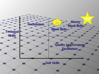 Technical Skills Soft Skills Statisticians Master Black Belts Black Belts Quality Improvement Facilitators BB MBB 
