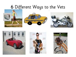 6 Different Ways to the Vets
 
