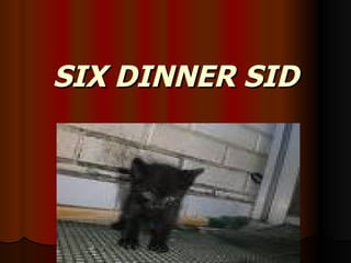 SIX DINNER SID 