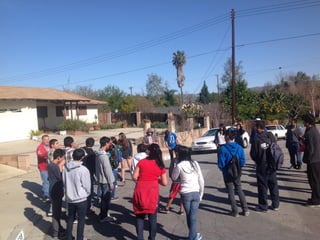 Six Flags, Arizona and Small Group!