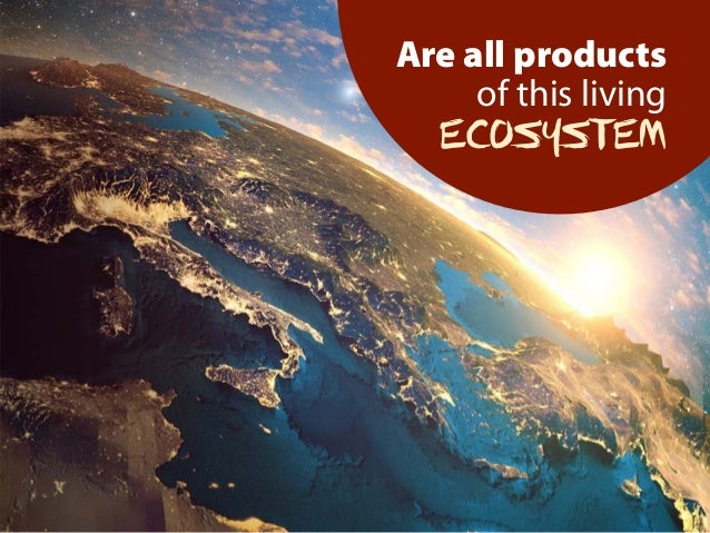 Living earth price list - cbinriko