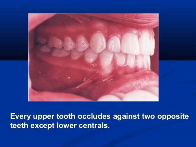 six keys of normal occlusion dr maher fouda compensating curve