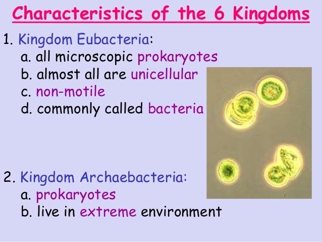 Characteristics Of The 6 Kingdoms Characteristics Of The 6 Kingdoms