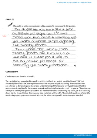 14 WWW.GCSE-SCIENCE.COM
GCSE GATEWAY SCIENCE EXEMPLAR CANDIDATE WORK
SAMPLE 3
COMMENTARY
Candidate scores 2 marks at Level 1.
The candidate has recognised the peak in activity but has inaccurately identified this at 350C but
accurately identified 420C as the point at which the enzyme stops functioning. The candidate has
not referred to denaturing and there is no understanding of the lock and key hypothesis or that the
temperature is too high for the enzyme to work and this is indicative of a Level 1 response. There is some
attempt to identify the specificity but this is a weak reference to it not doing any other job than breaking
down starch. It was felt that this response best matched with Level 1. There is little evidence of scientific
terminology to support the communication of the science so overall 2 marks this were awarded.
 