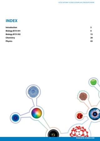 2 WWW.GCSE-SCIENCE.COM
GCSE GATEWAY SCIENCE EXEMPLAR CANDIDATE WORK
INDEX
Introduction													3
Biology B731/01												4
Biology B731/02												15
Chemistry													28
Physics													43
 