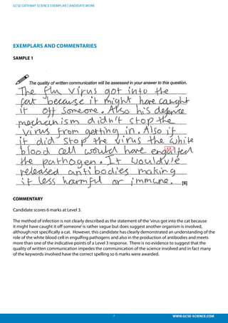 7 WWW.GCSE-SCIENCE.COM
GCSE GATEWAY SCIENCE EXEMPLAR CANDIDATE WORK
EXEMPLARS AND COMMENTARIES
SAMPLE 1
COMMENTARY
Candidate scores 6 marks at Level 3.
The method of infection is not clearly described as the statement of the‘virus got into the cat because
it might have caught it off someone’is rather vague but does suggest another organism is involved,
although not specifically a cat. However, this candidate has clearly demonstrated an understanding of the
role of the white blood cell in engulfing pathogens and also in the production of antibodies and meets
more than one of the indicative points of a Level 3 response. There is no evidence to suggest that the
quality of written communication impedes the communication of the science involved and in fact many
of the keywords involved have the correct spelling so 6 marks were awarded.
 