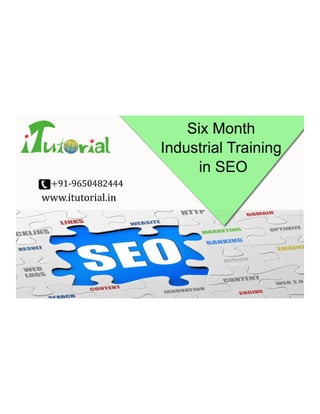 Six month industrial_training_in_seo