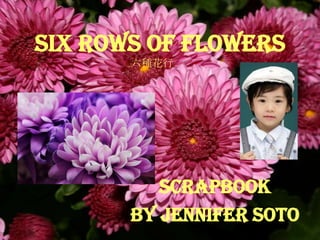 SIX ROWS OF FLOWERS
       六種花行




          Scrapbook
       By Jennifer Soto
 