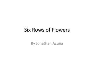 Six Rows of Flowers
By Jonathan Acuña
 