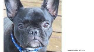 esther@estherderby.com @estherderby
 