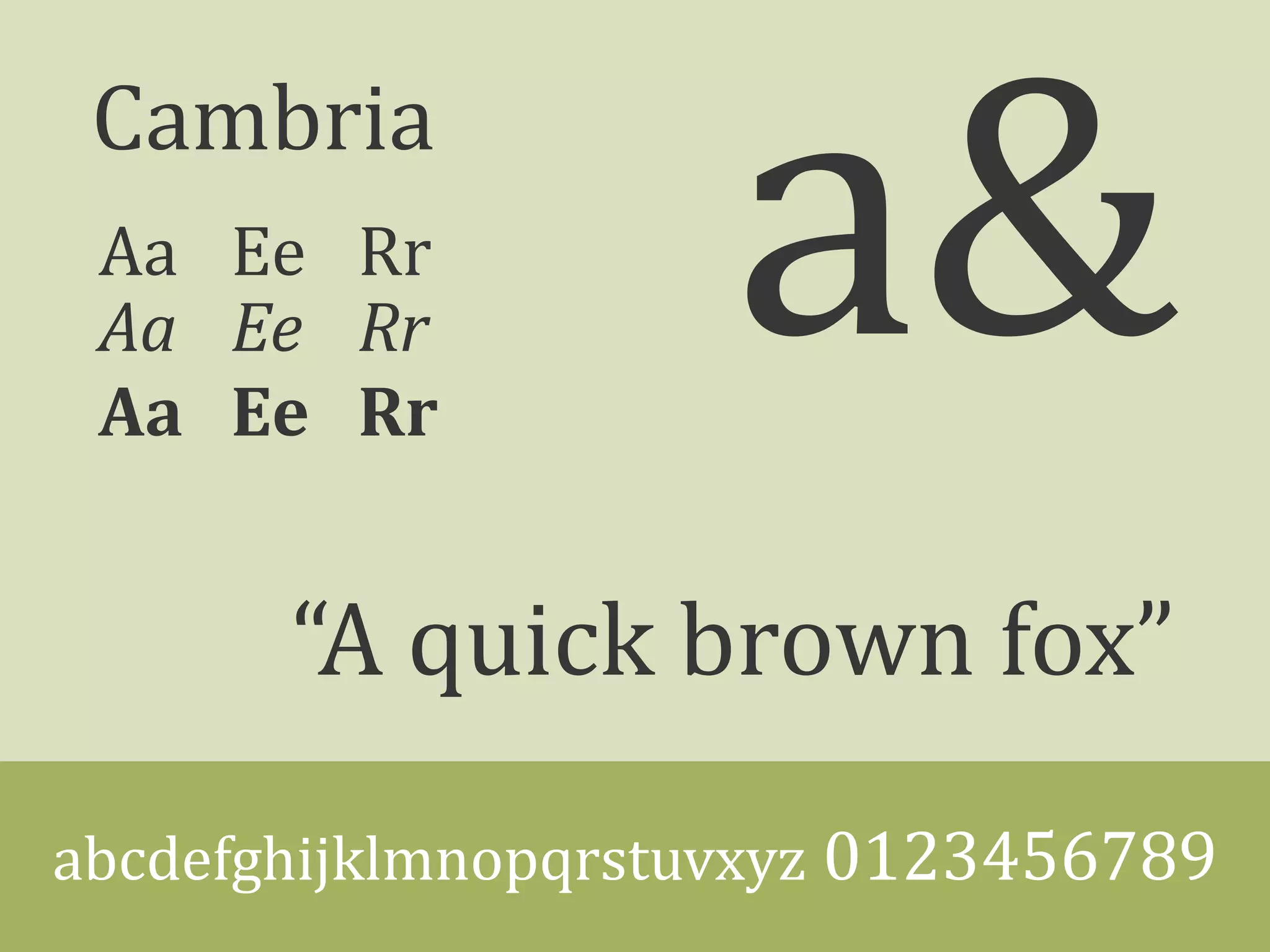Cambria
Aa Ee Rr
“A quick brown fox”
abcdefghijklmnopqrstuvxyz 0123456789
a&Aa Ee Rr
Aa Ee Rr
 