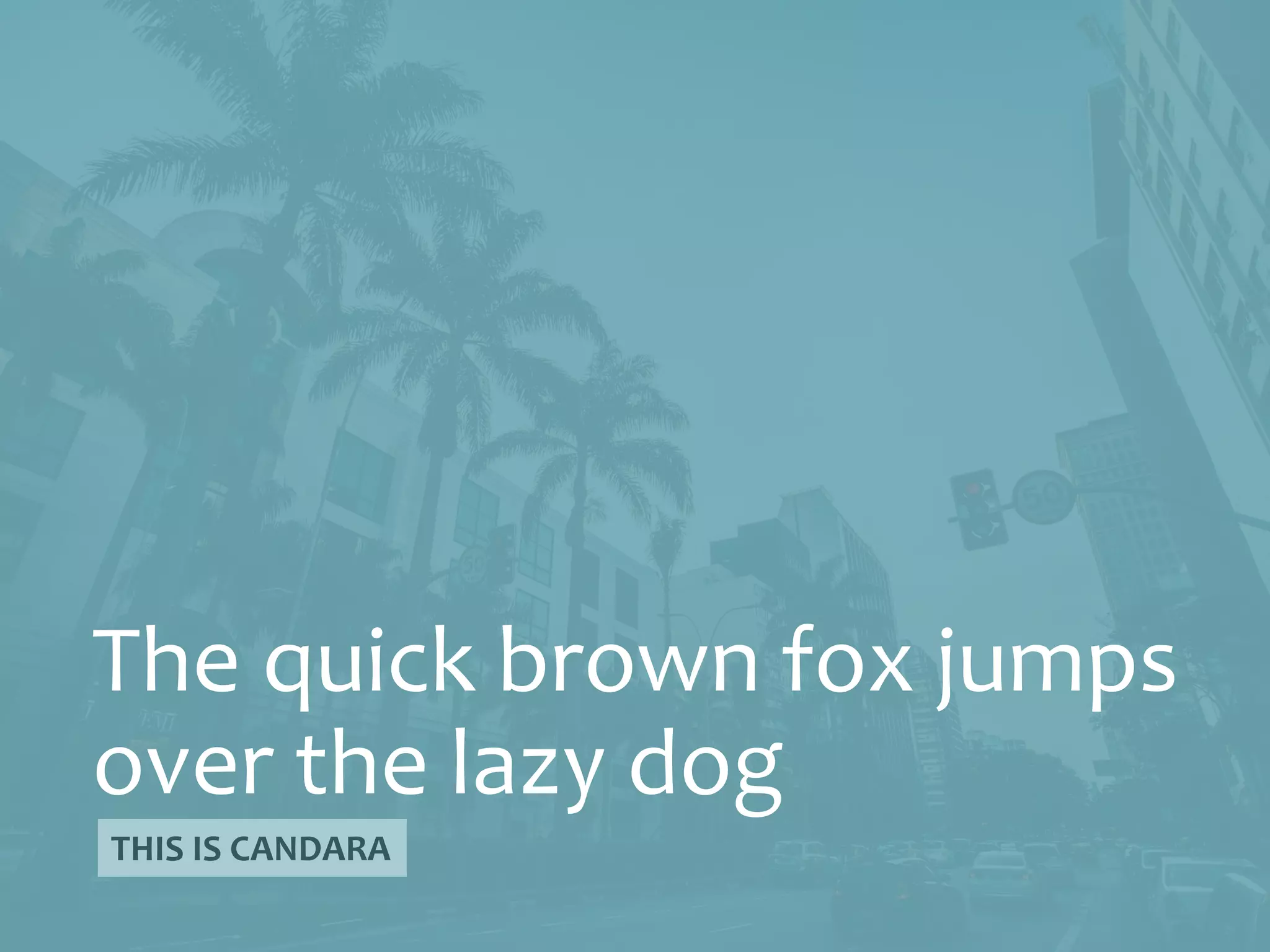 The quick brown fox jumps
over the lazy dog
THIS IS CANDARA
 