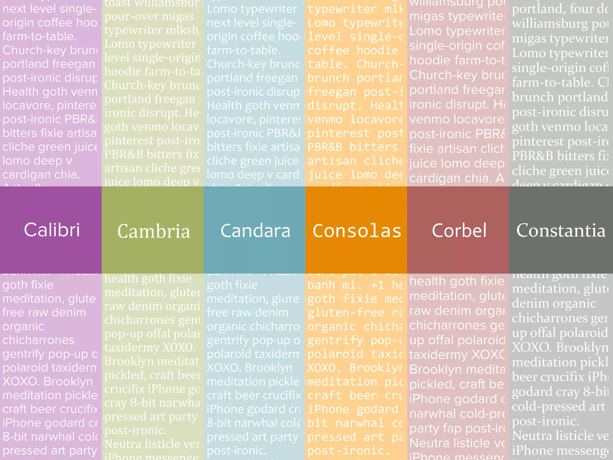 Calibri Cambria Candara Consolas Corbel Constantia
 