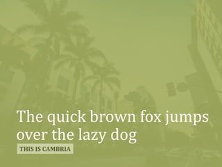 The quick brown fox jumps
over the lazy dog
THIS IS CAMBRIA
 