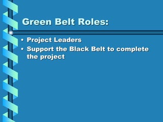 Green Belt Roles:
• Project Leaders
• Support the Black Belt to complete
the project
 