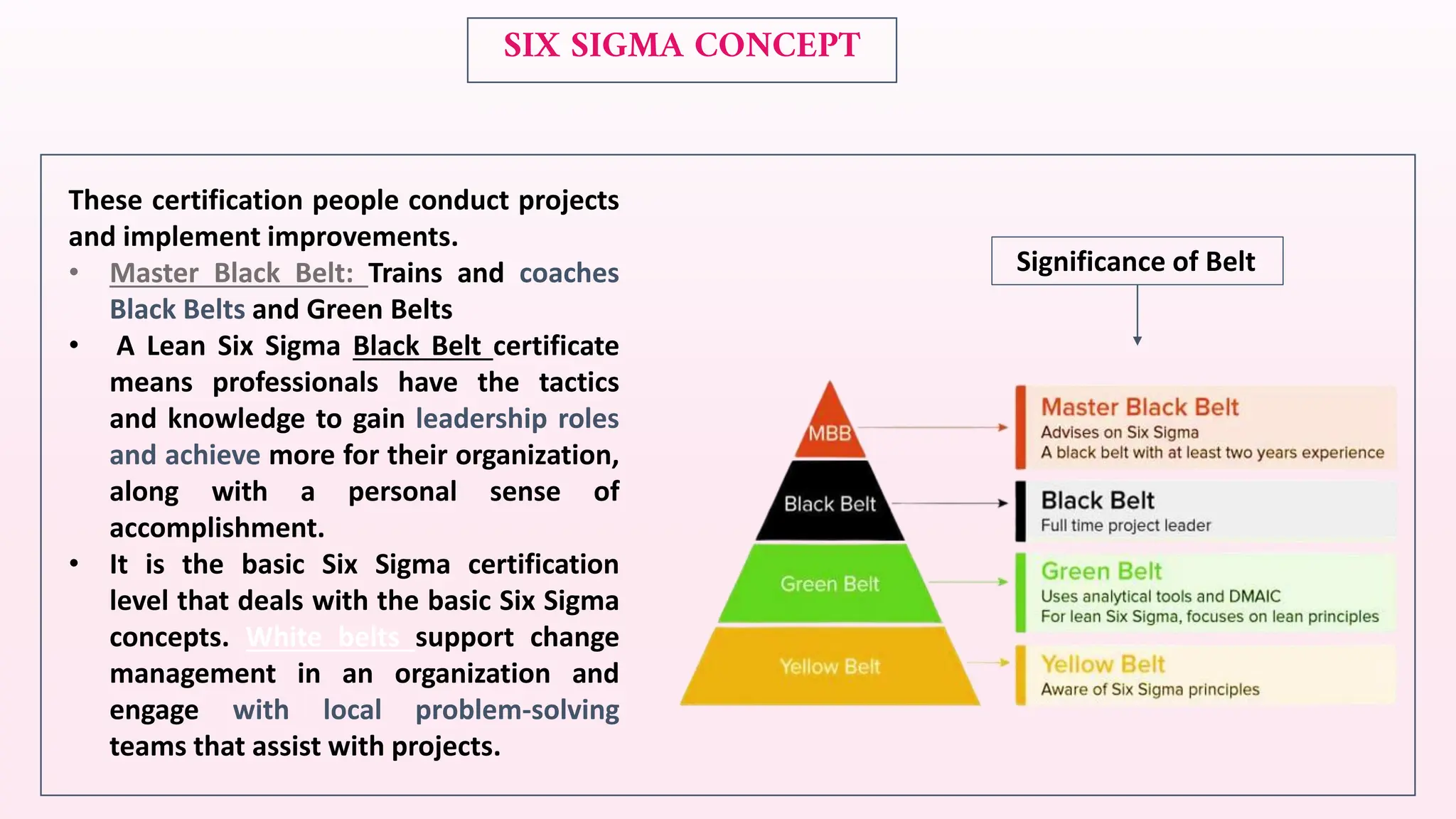 Problem Solving Belts Six Sigma .pdf
