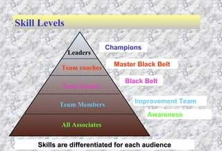 Leaders Team coaches Team leaders Team Members All Associates Champions Master Black Belt Black Belt Improvement Team Awareness Skills are differentiated for each audience Skill Levels 