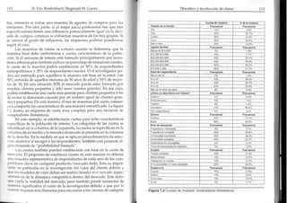 Six sigma estrategico 