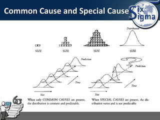 Common Cause and Special Cause
 