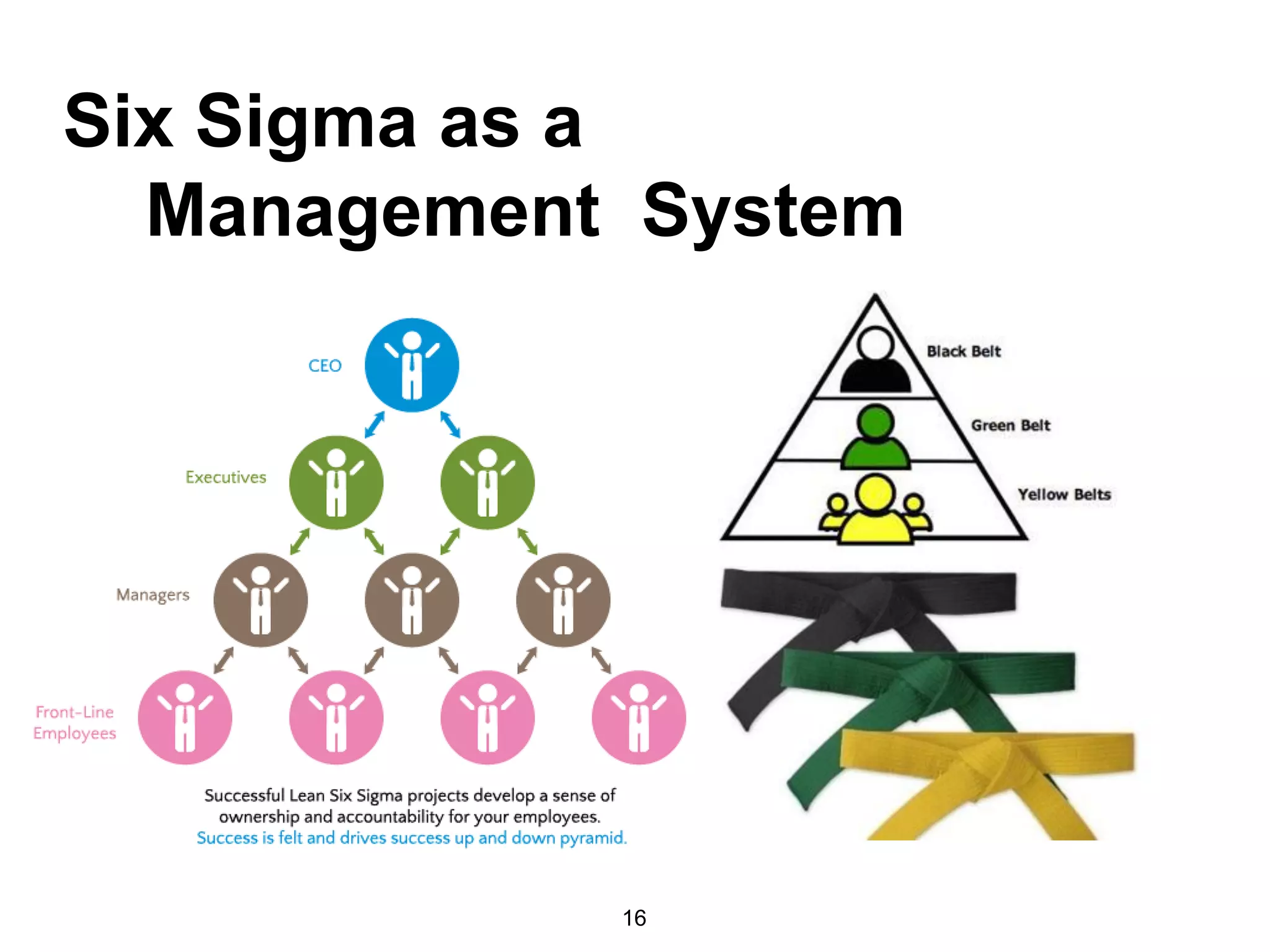 16
Six Sigma as a
Management System
 