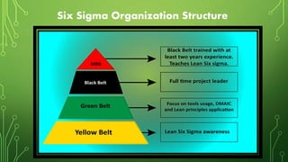 Six Sigma Organization Structure
 