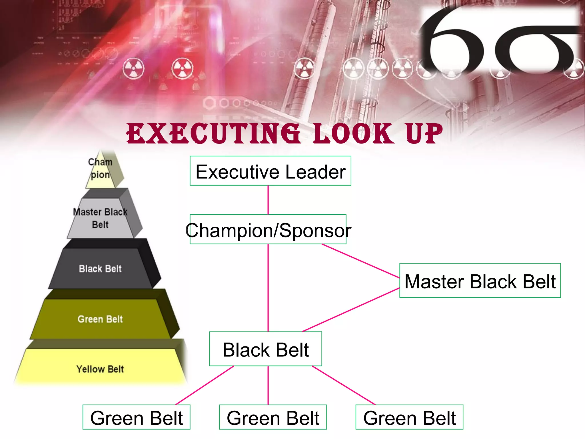 Executing Look up Executive Leader Champion/Sponsor Master Black Belt Black Belt Green Belt Green Belt Green Belt 