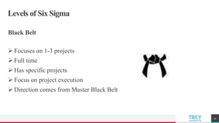 TREYresearch
Levels of Six Sigma
Black Belt
 Focuses on 1-3 projects
 Full time
 Has specific projects
 Focus on project execution
 Direction comes from Master Black Belt
32
 