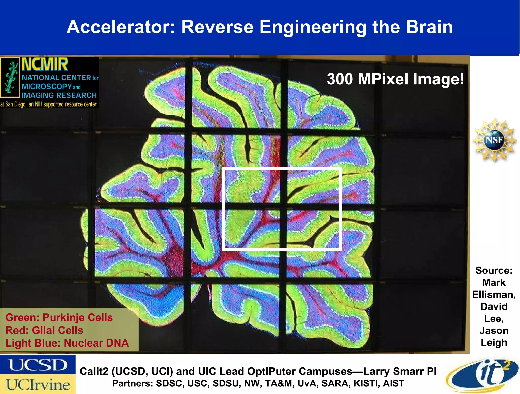 Accelerator: Reverse Engineering the Brain Green: Purkinje Cells Red: Glial Cells Light Blue: Nuclear DNA Source: Mark Ellisman, David Lee, Jason Leigh 300 MPixel Image! Calit2 (UCSD, UCI) and UIC Lead OptIPuter Campuses—Larry Smarr PI Partners: SDSC, USC, SDSU, NW, TA&M, UvA, SARA, KISTI, AIST 