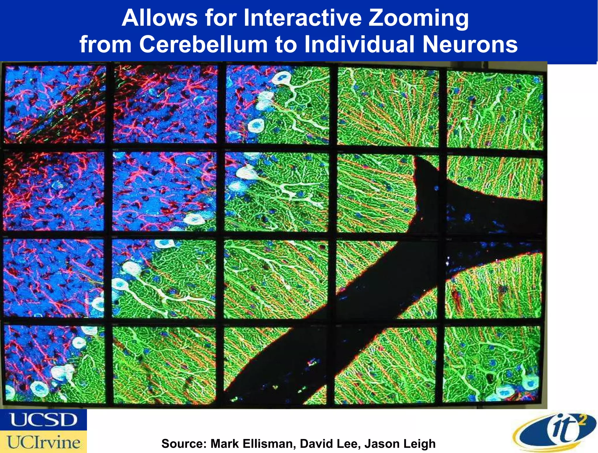 Allows for Interactive Zooming  from Cerebellum to Individual Neurons Source: Mark Ellisman, David Lee, Jason Leigh 