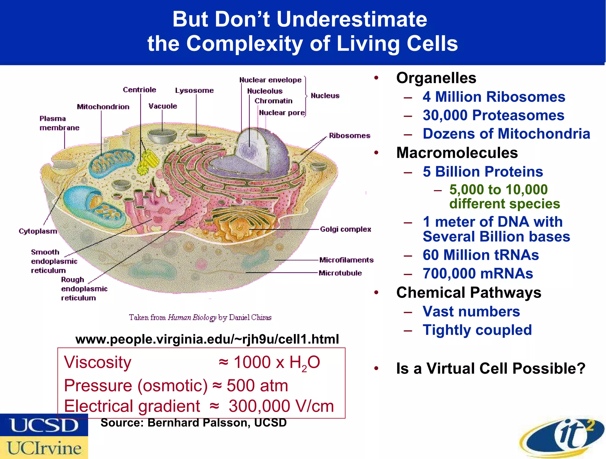 But Don’t Underestimate  the Complexity of Living Cells Organelles 4 Million Ribosomes 30,000 Proteasomes Dozens of Mitochondria Macromolecules 5 Billion Proteins 5,000 to 10,000 different species 1 meter of DNA with Several Billion bases 60 Million tRNAs 700,000 mRNAs Chemical Pathways Vast numbers Tightly coupled Is a Virtual Cell Possible? www.people.virginia.edu/~rjh9u/cell1.html Viscosity    ≈ 1000 x H 2 O Pressure (osmotic) ≈ 500 atm Electrical gradient  ≈  300,000 V/cm  Source: Bernhard Palsson, UCSD  