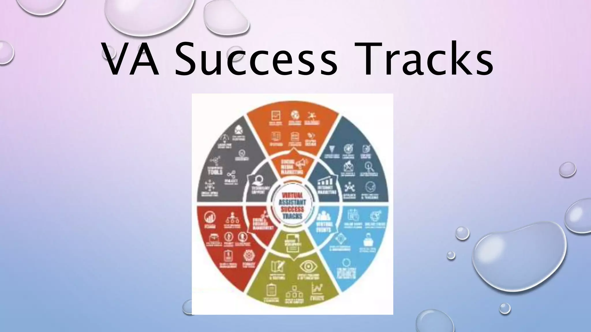 VA Success Tracks
 