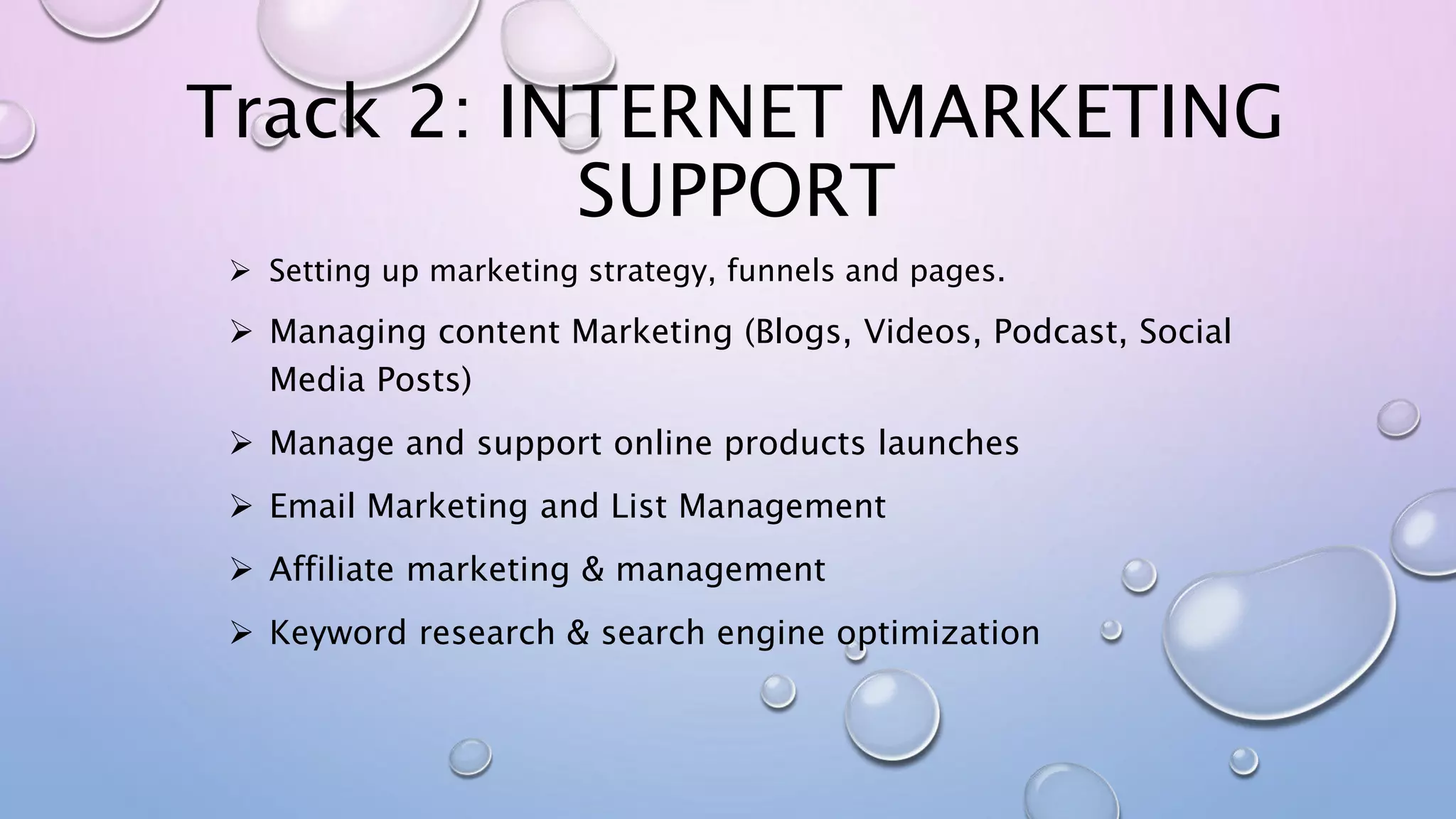 Track 2: INTERNET MARKETING
SUPPORT
 Setting up marketing strategy, funnels and pages.
 Managing content Marketing (Blogs, Videos, Podcast, Social
Media Posts)
 Manage and support online products launches
 Email Marketing and List Management
 Affiliate marketing & management
 Keyword research & search engine optimization
 