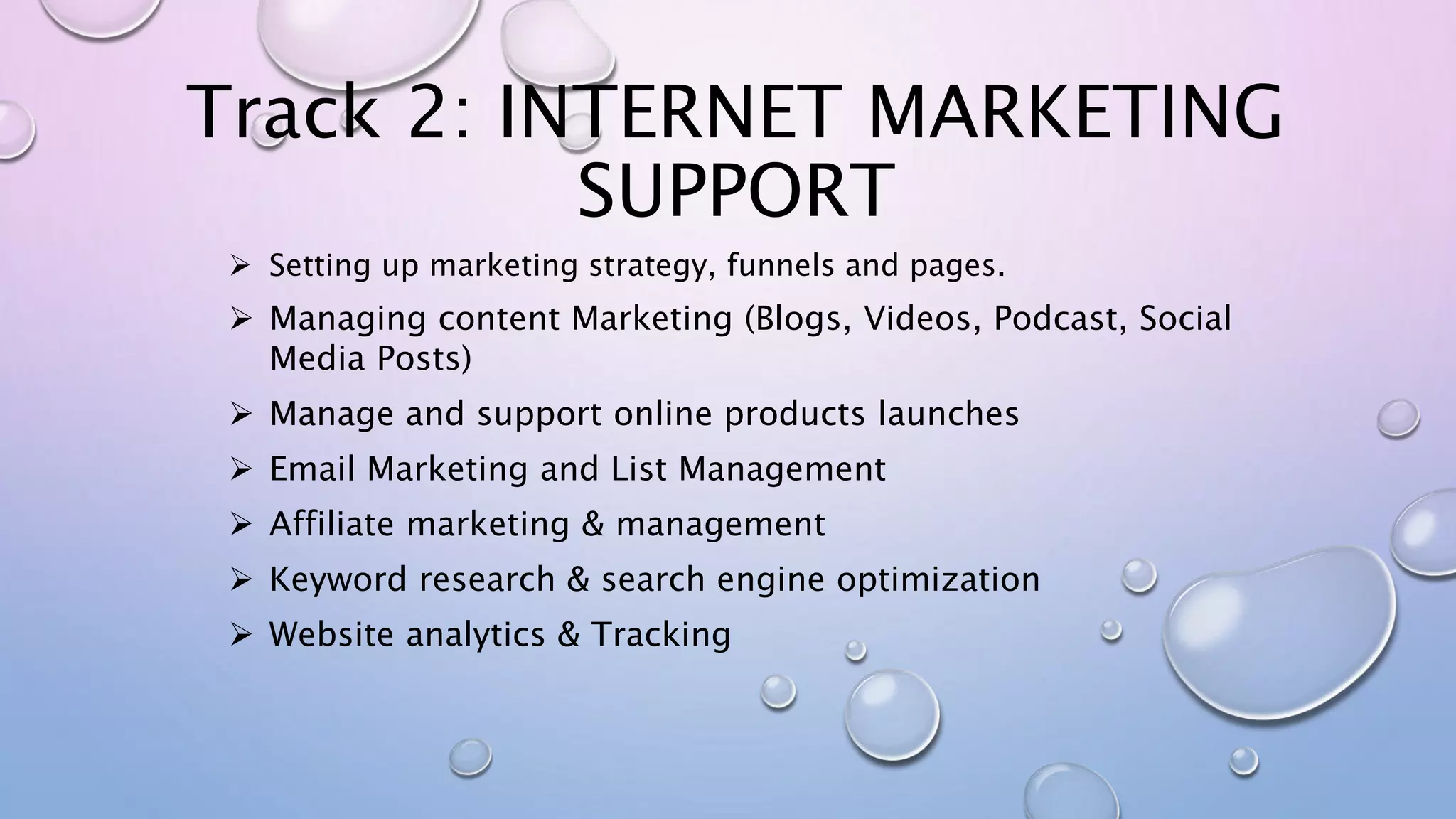 Track 2: INTERNET MARKETING
SUPPORT
 Setting up marketing strategy, funnels and pages.
 Managing content Marketing (Blogs, Videos, Podcast, Social
Media Posts)
 Manage and support online products launches
 Email Marketing and List Management
 Affiliate marketing & management
 Keyword research & search engine optimization
 Website analytics & Tracking
 