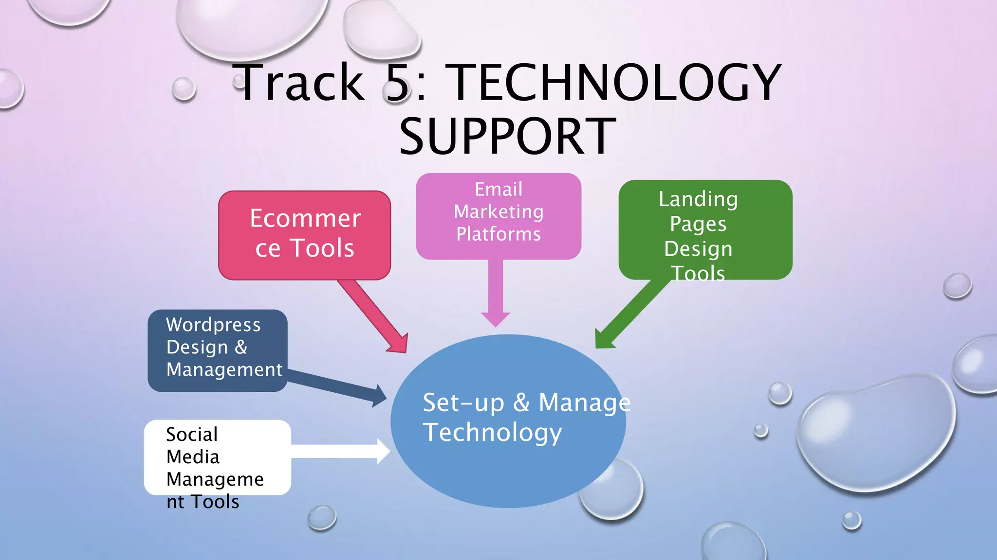 Track 5: TECHNOLOGY
SUPPORT
Set-up & Manage
TechnologySocial
Media
Manageme
nt Tools
Wordpress
Design &
Management
Ecommer
ce Tools
Email
Marketing
Platforms
Landing
Pages
Design
Tools
 