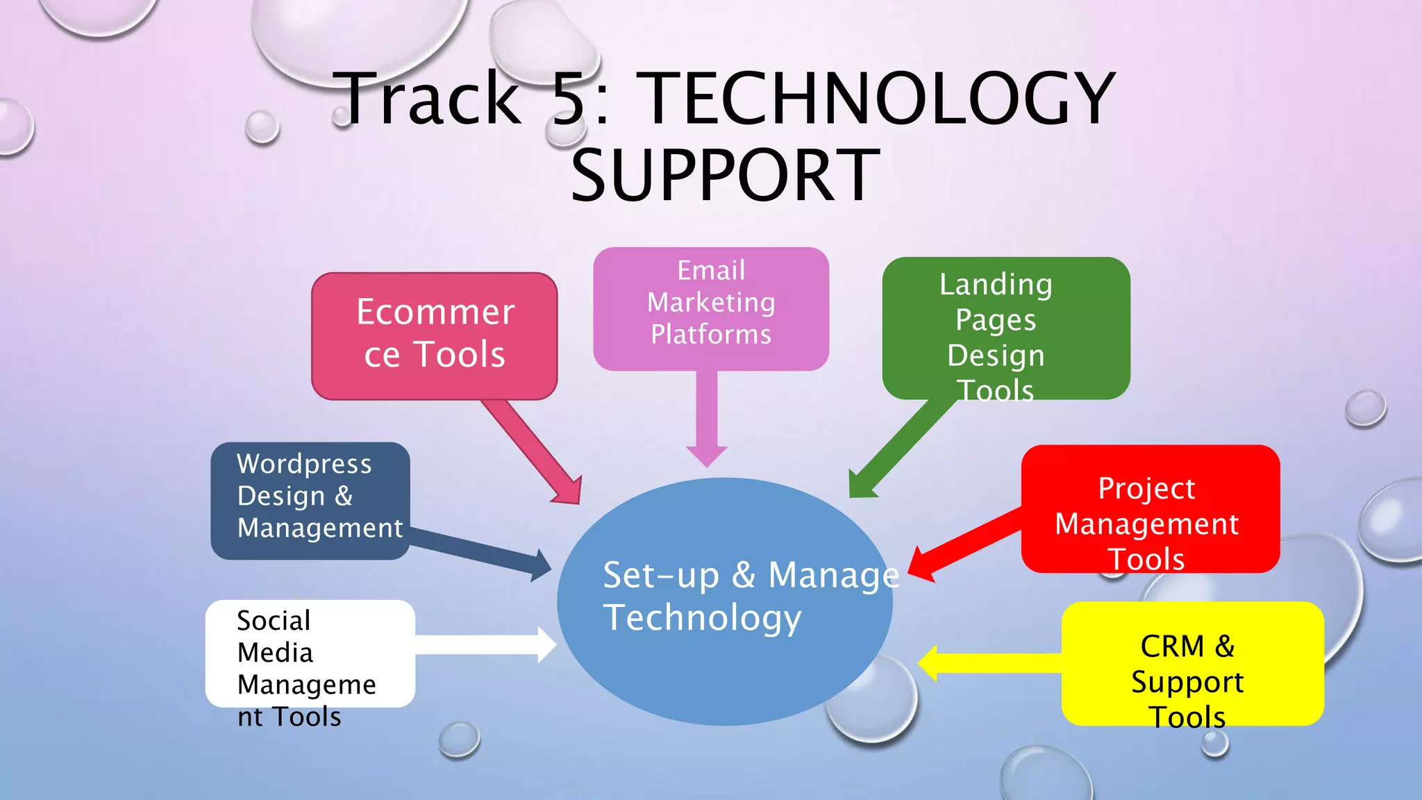 Track 5: TECHNOLOGY
SUPPORT
Set-up & Manage
TechnologySocial
Media
Manageme
nt Tools
Wordpress
Design &
Management
Ecommer
ce Tools
Email
Marketing
Platforms
Landing
Pages
Design
Tools
Project
Management
Tools
CRM &
Support
Tools
 
