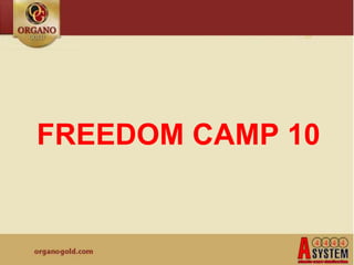FREEDOM CAMP 10
 