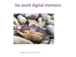Six word digital memoirs




  http://wallpapers.pixxp.com/15__Crab_-_Ocean_Animal.htm
 