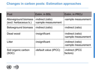 Siyag unfccc methods ws oct 2011