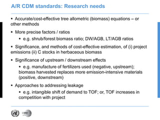 Siyag unfccc methods ws oct 2011