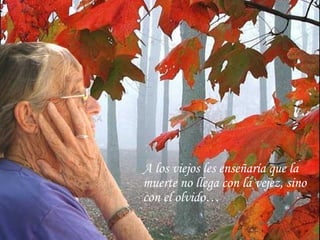 A los viejos les enseñaría que la
muerte no llega con la vejez, sino
con el olvido…

 