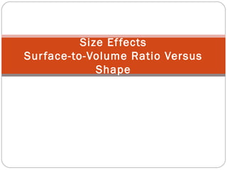 Size Effects
Surface-to-Volume Ratio Versus
Shape
 