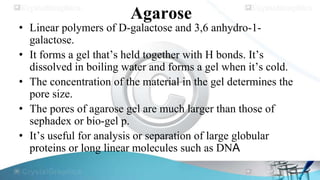 Agarose

• Linear polymers of D-galactose and 3,6 anhydro-1galactose.
• It forms a gel that’s held together with H bonds. It’s
dissolved in boiling water and forms a gel when it’s cold.
• The concentration of the material in the gel determines the
pore size.
• The pores of agarose gel are much larger than those of
sephadex or bio-gel p.
• It’s useful for analysis or separation of large globular
proteins or long linear molecules such as DNA

 