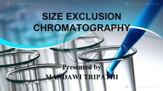 SIZE EXCLUSION
CHROMATOGRAPHY

Presented by
MANDAWI TRIPATHI

 