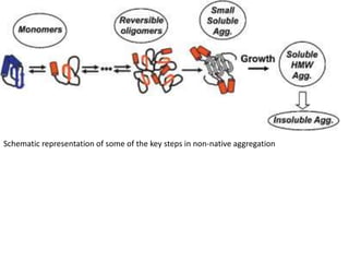 Schematic representation of some of the key steps in non-native aggregation 
 