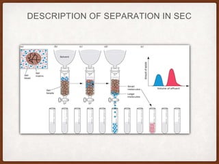 DESCRIPTION OF SEPARATION IN SEC
 
