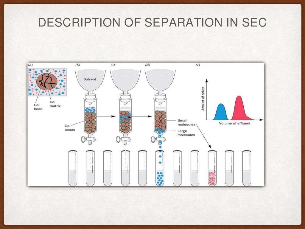 Size exclusion chromatography